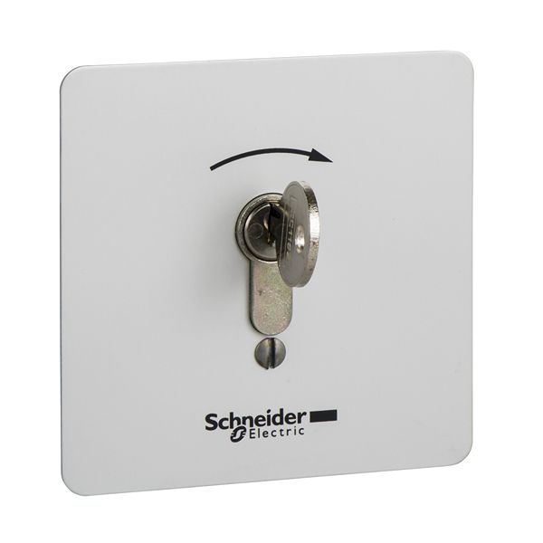 Schneider Electric Control Station Switch - 1 NO, Polycarbonate, 1 Cutouts, Dark Grey, No Markings, IP65