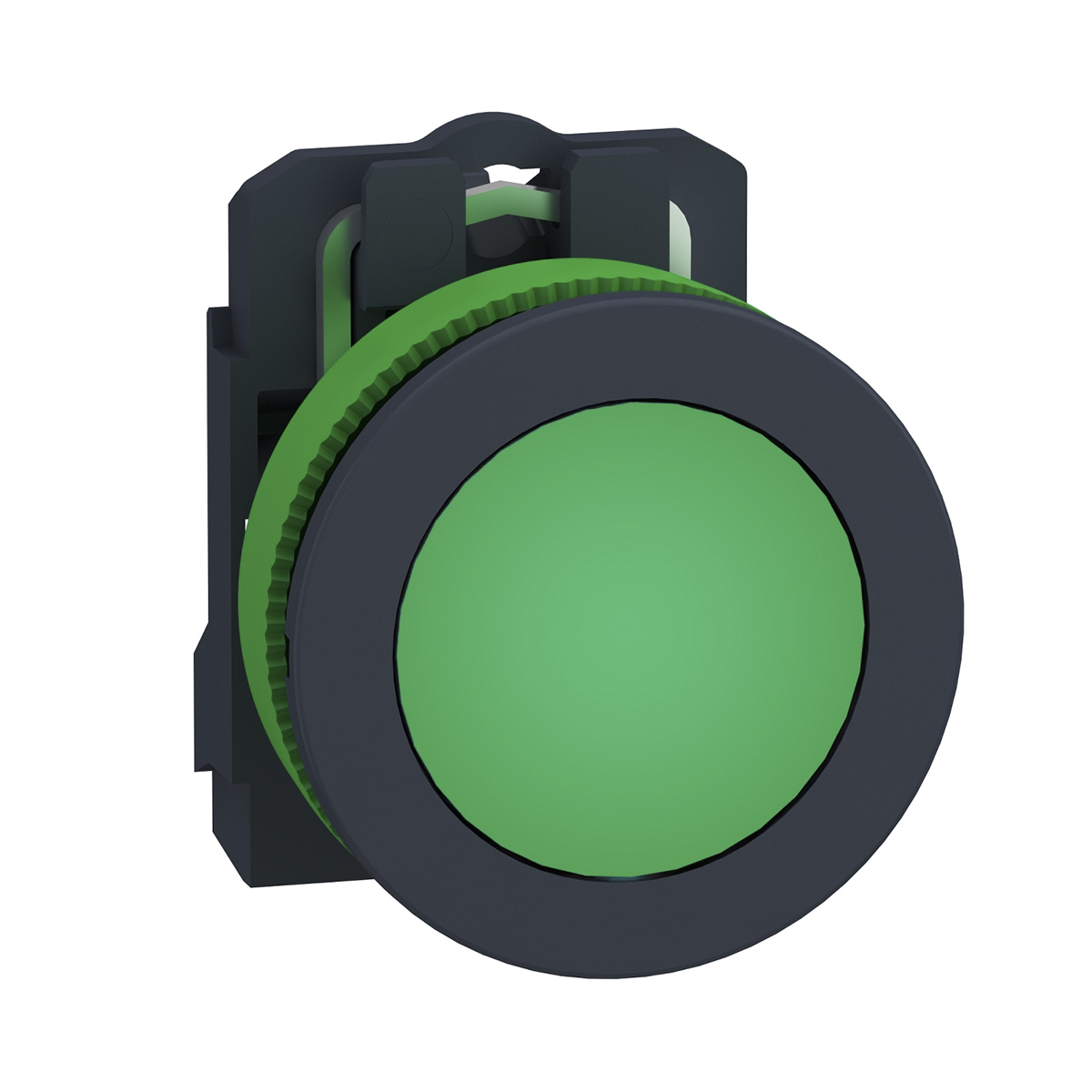 Schneider Electric, XB5, Flush Green LED Pilot Light, 30 mm Cutout, IP66, IP69, IP67, Round, 21.6 V ac, 26.4 V ac, 19.2V