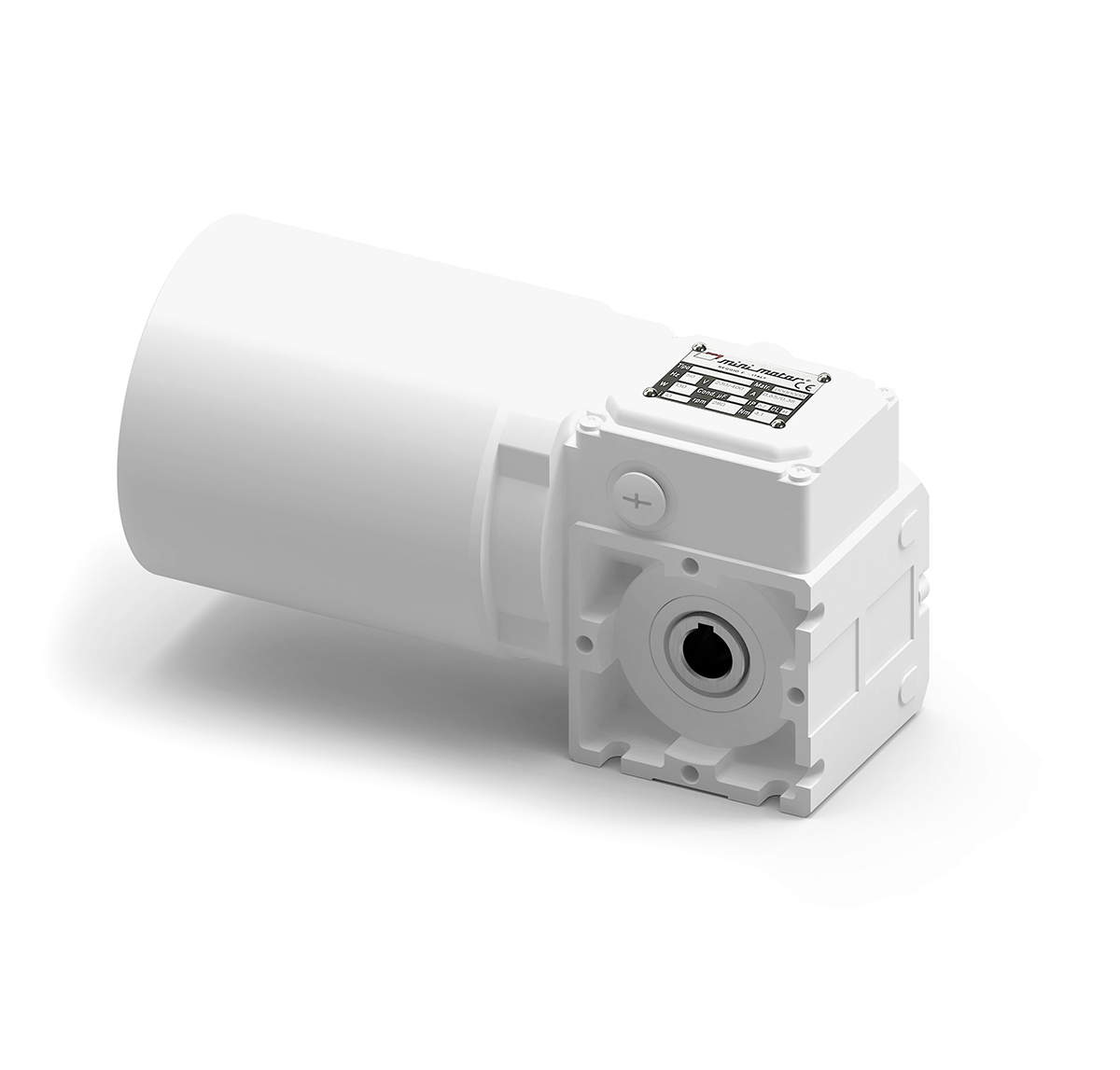 Mini Motor XCF Worm AC Geared Motor, 290 W, 2-Pole, 400V