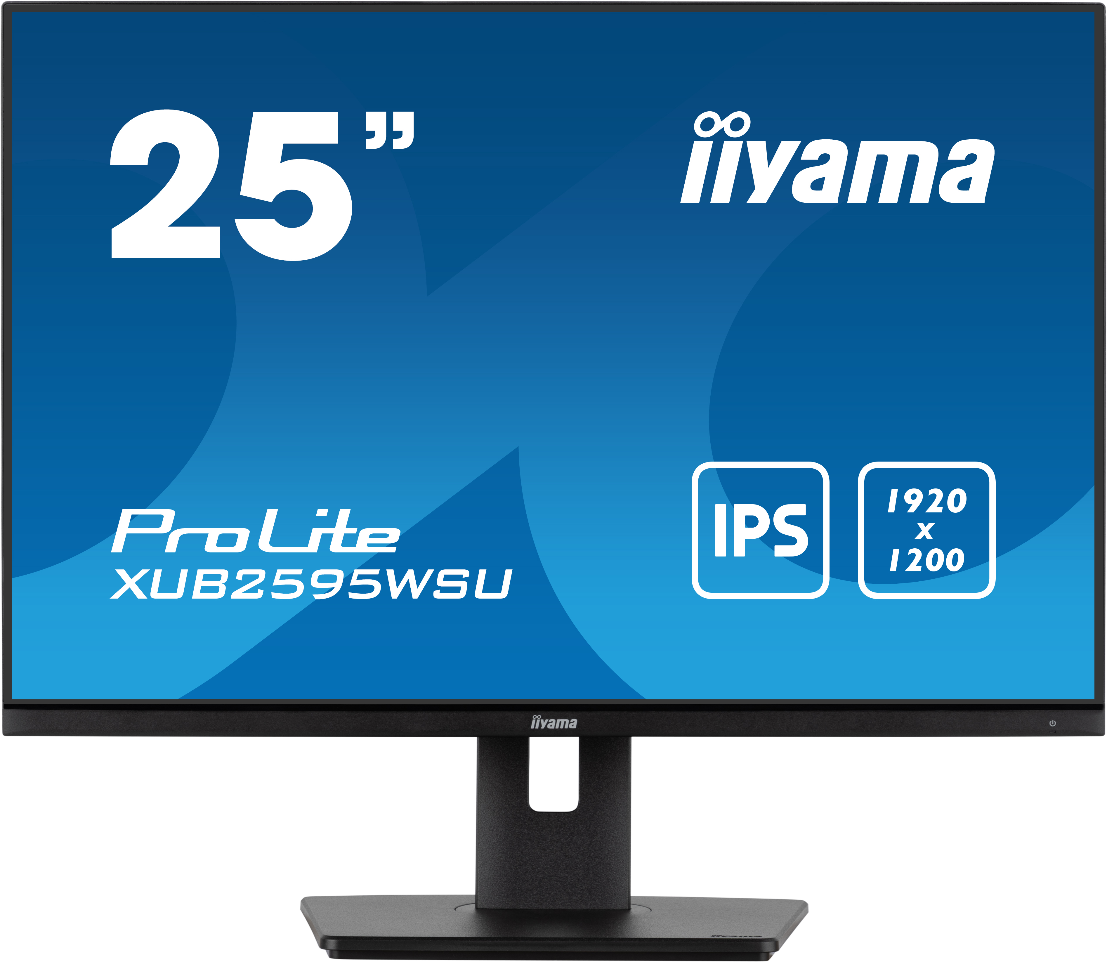 iiyama ProLite 25 in LED Monitor, 1920 x 1200 pixel