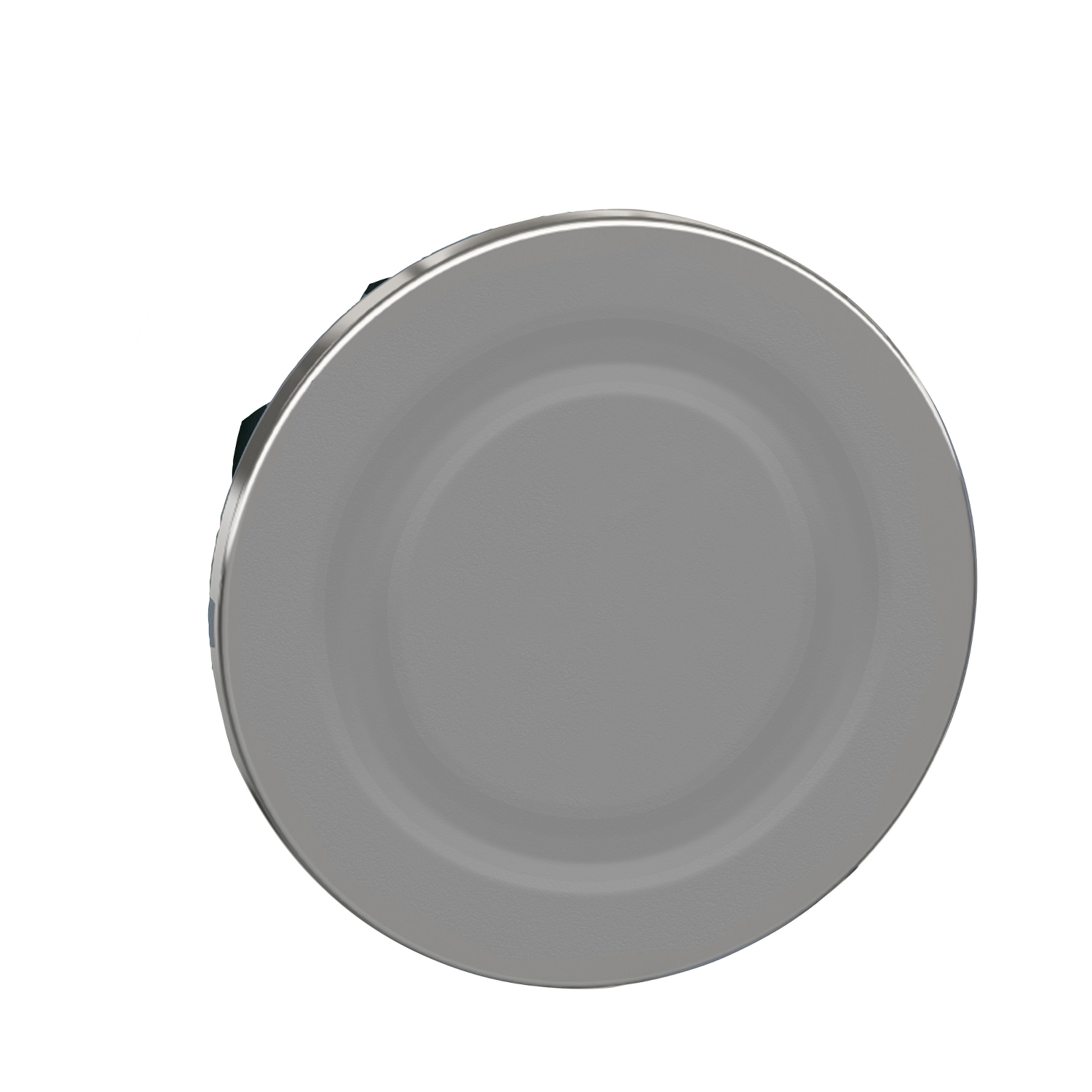 zb4fsz3 Schneider Electric Blanking Plug, For Use With ZB5F Pushbuttons, ZB4F Pushbuttons