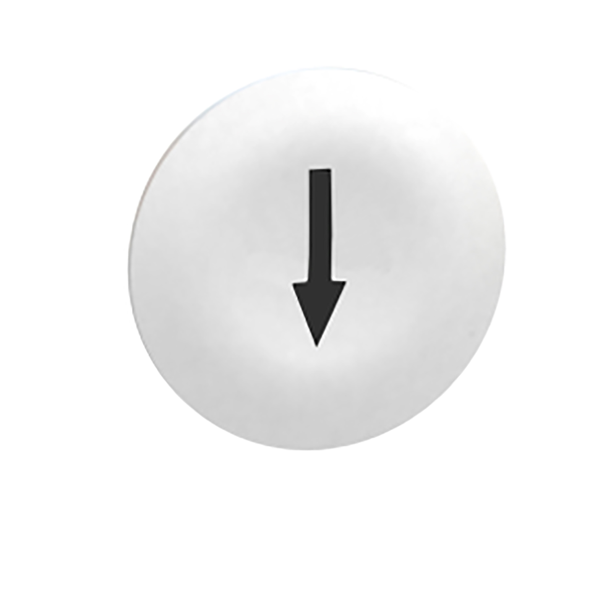 Schneider Electric White Push Button Cap for Use with Harmony Push Button XAl / XB4 / XB4 / XB4R / XB5 / XB5R