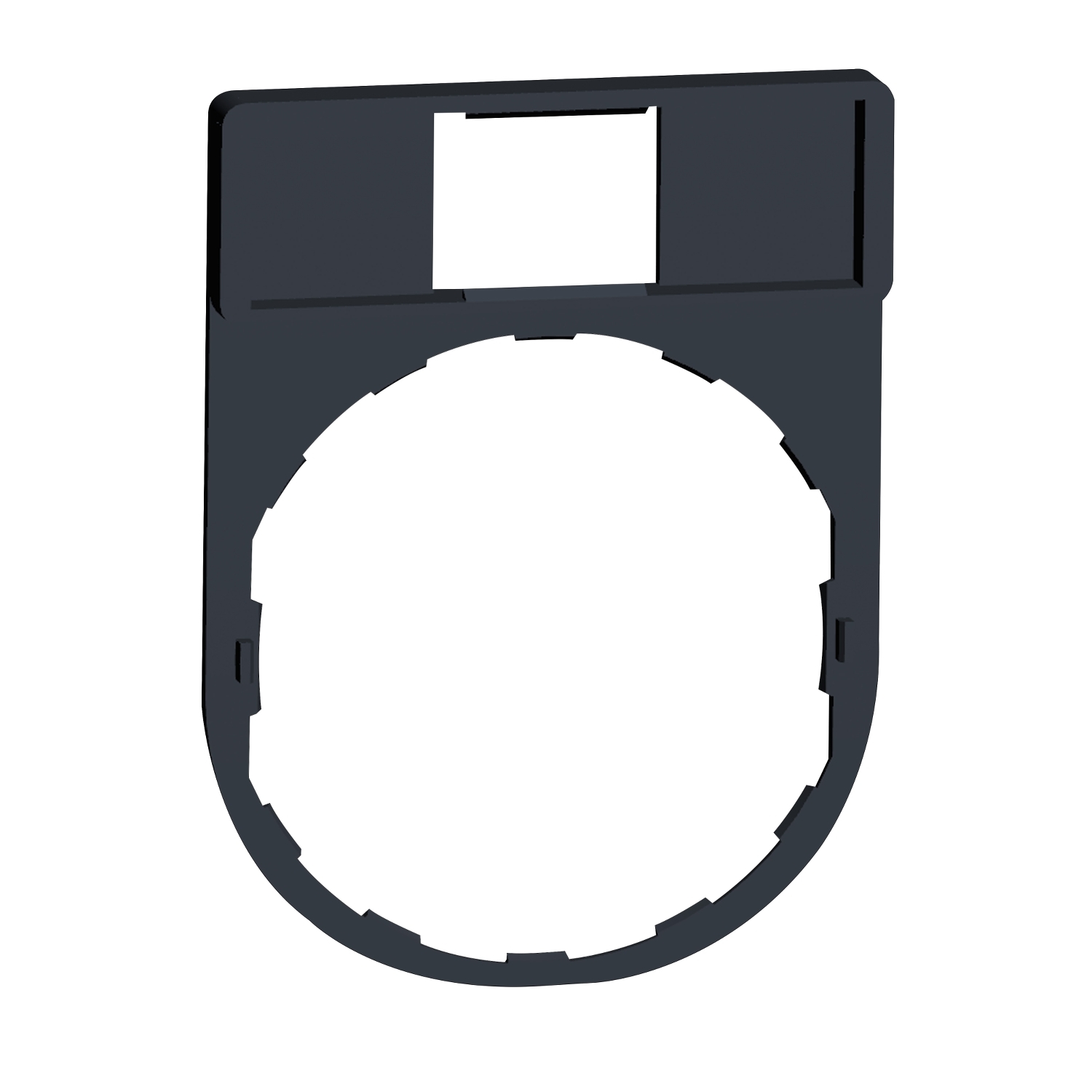 Schneider Electric Blank Label Holder for Use with XALK Series, XB4 Series, XALD Series, XB5 Series