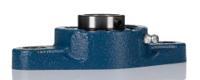 ucfl205 2 Hole Flange Bearing Unit 25mm ID