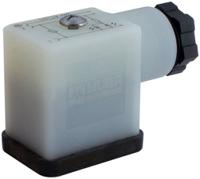 7000-29805-0000000 Murrelektronik Limited Solenoid Connector