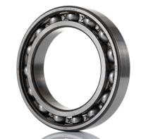 6013 SKF  1 Row Ball Bearing - 65 mm ID, 100 mm OD