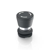 1302765010000 RAFI RAFIX 22 Series Illuminated Push Button Switch, Latching, Through Hole, 22.3mm Cutout, IP65