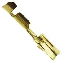 102917-2 TE Connectivity AMPMODU MOD IV Series Female Crimp Terminal, 32AWG Min, 27AWG Max