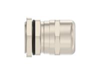 1sng625023r0000 Entrelec 1SNG Series Brass Brass, CR, NBR, PA 6 Cable Gland, M25 Thread, 11mm min., 17mm max., IP66, IP68