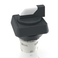 1300736000200 RAFI Selector Switch - 16.2mm Cutout Diameter, Illuminated 1 Positions