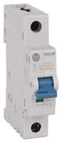 1492-spm1c050 Allen Bradley 1492 1492-SPM MCB, 1P, 5A Curve C, 277V AC, 48V DC, 10 kA Breaking Capacity