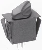 r2aa111nnnnn Otto, 2 Position SPST Rotary Switch, 20 A @ 28 V dc, Tab