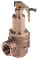n-542-015-3-bar Nabic Valve Safety Products 3bar Pressure Relief Valve With Female BSP 1/2 in BSP Female Connection and a BSP 1/2