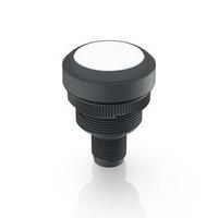 1100710010221 RAFI Push Button Bezel for Use with Lamp