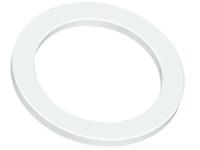238403 Watts 50 x Washer & Seal Kit