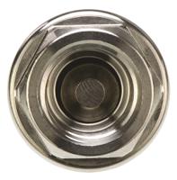 4890-13-13 Legris Stainless Steel Single Non Return Valve, G 1/4in, 40 bar