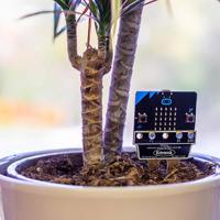5647 Kitronik Prong Soil Moisture Sensor For The BBC micro:bit