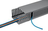 185-42550-htwd-pd-25x50-pvc-gy HellermannTyton HTWD-PD Grey Slotted Panel Trunking - Open Slot, W25 mm x D50mm, L2m, PVC