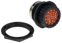 tn7s24-1219p1l-192900-0077 ITT Cannon Circular Connector, 31 Contacts, Panel, Standard Connector, Socket, Male, IP67, Trident Neptune Series