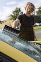 473852 Vikan Polypropylene Replacement Windscreen Scraper Head, 1 piece