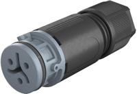 4103130414 Wieland RST 08i2/3 Series Female Connector, 3-Pole, Female, Cable Mount, 8A, IP66, IP68, IP69