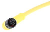 1200060528 Brad from Molex Female 4 way M12 to Unterminated Free End Sensor Actuator Cable, 2 m
