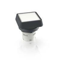 1651243011002 RAFI White Push Button LED for Use with Push Buttons