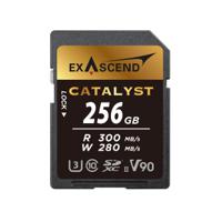 ex256gsdu2 Exascend 256 GB SDXC SD Card, Class 10, UHS-II (U3), V90