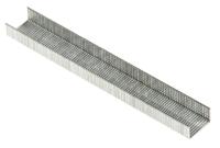 1367 Rapesco 21/4mm Staples