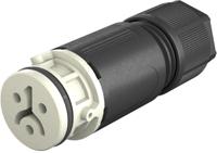 4102130418 Wieland RST 08i2/3 Series Circular Connector, 2-Pole, Female, Cable Mount, 8A, IP66, IP68, IP69