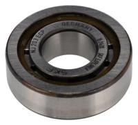 nj-203-ecp SKF NJ 203 ECP Cylindrical 17 mm ID Roller Bearing, 40 mm OD