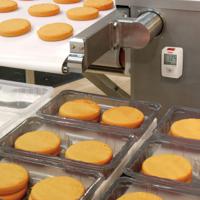 kt-50 KIMO KT-50 Temperature Temperature Monitor, USB, 1 Input Channel(s)