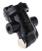 720-9254 RS PRO 12 bar Iron Inverted Bucket Steam Trap, 1/2 in BSP Female