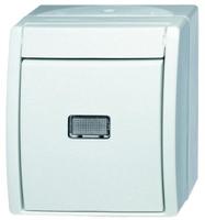 2621-wgl-54 Busch Jaeger - ABB Push Button Light Switch, 1 Way, 1 Gang