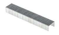 1456 Rapesco 24/8mm Staples
