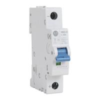 1492-d1c060 Allen Bradley 1492-D1 1492-D MCB, 1P, 6A Curve C