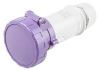 3351609 Scame IP66, IP67 Purple Cable Mount 3P Industrial Power Socket, Rated At 16A, 20 → 25 V