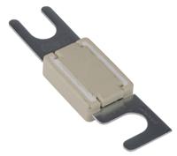 9005805100 SIBA 100A White Automotive Car Fuse, 80V dc