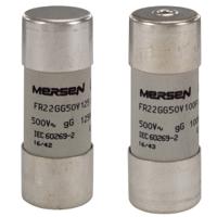 z1022165 Mersen 80A Slow-Blow Ceramic Cartridge Fuse, 22.2 x 58mm