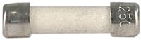 00340909 Schurter 6.3A FF Ceramic Cartridge Fuse, 5 x 20mm