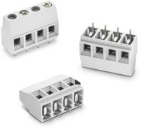691256610002 Wurth Elektronik 2566 Series PCB Terminal Block, 2-Contact, 10.16mm Pitch, Through Hole Mount, 1-Row, Solder Termination