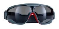 gg502sgaf 3M Goggle Gear, Scratch Resistant Anti-Mist Safety Goggles with Grey Lenses