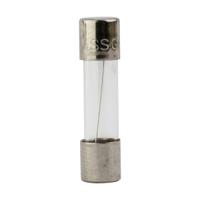s506-16-r Eaton 1.6A T Glass Cartridge Fuse, 5 x 20mm