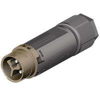 4603245504 Wieland RST Mini Series Mini Connector, 3-Pole, Male, 1-Way, Cable Mount, 16A, IP66, IP68, IP69