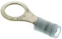 320575 TE Connectivity, PIDG Insulated Ring Terminal, M8 Stud Size, 1.25mm² to 2mm² Wire Size, Blue
