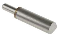 270-2922 Pinet Stainless Steel Bullet Hinge, Weld-on Fixing, 100mm x 20mm