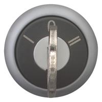 216900-m22-wrs3 Eaton RMQ Titan 3-position Key Switch Head, Maintained, 22.5mm Cutout