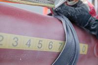 ptp950nwzu1 Brother PT-P950NW Label Printer, 32mm Max Label Width