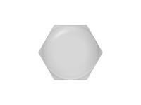 1sng601055r0000 Entrelec 1SNG Series Light Grey PA 6 Cable Gland, M20 Thread, 6mm min., 12mm max., IP66, IP68