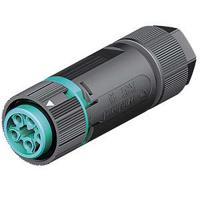 4605145536 Wieland RST Mini Series Mini Connector, 5-Pole, Female, 1-Way, Cable Mount, 16A, IP66, IP68, IP69